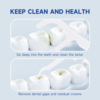 Sélection de Choix pour Vous Cure-Dents Aromatisés Richsource Fil Dentaire Menthe Hygiène Buccale Fils Dentaires