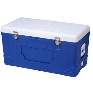 Cube Waterproof Insulated Box for Food 12L Plastic Ice Box Foam  Polyurethane Thermal Electric Cooler - China Portable Ice Box and Insulated  Ice Box price