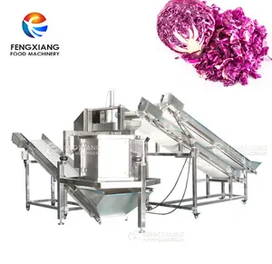 FZHS-450 Continuous Automatic Vegetable dewatering machine Fruit Dehydration Machine apply to veg and fruit processing plants