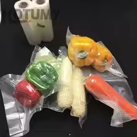 KOTUMY AP-18 petit plastifieuse domestique avec double pompe automatique scellage sous vide A3 format de papier conservation des aliments 100-240V