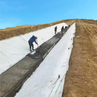 Rouleau de géotextile non tissé écologique 100 g/m² pour la filtration, la séparation et le renforcement dans les projets civils