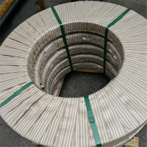 เทปโลหะผสมนิกเกิล DIN 2.4819 C276 - Product Image 4