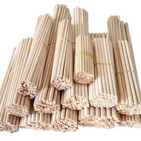 Bâtonnets de crème glacée jetables en bois de bouleau naturel, biodégradables, écologiques, économiques, pour café