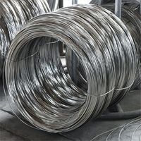 0.04mm 0.8mm 1mm 0.13mm Quantité principale laminée à chaud Corde en acier inoxydable 304 316 310 Fil en acier inoxydable