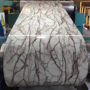 Architectural Printed Color Painted Wood Grain Camouflage Marble Brick Grain Galvanized Color Scroll