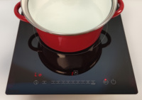 Cuisinière à induction 12v 24v dc cuisinière électrique avec boîtier en plastique