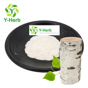 Factory Price White Birch Bark/Betula Alba Powder 50% 70% 80% 90% 98% Bai Hua/Betula Alba/White Birch Bark Extract