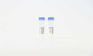 Ardent <span class=keywords><strong>Taq</strong></span> <span class=keywords><strong>ADN</strong></span> <span class=keywords><strong>Polymérase</strong></span> Kit <span class=keywords><strong>Taq</strong></span> <span class=keywords><strong>Polymérase</strong></span> - Product Image 3