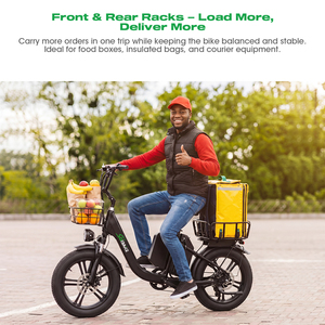 <span class=keywords><strong>Meilleur</strong></span> vélo cargo électrique F8 Plus pour la livraison de nourriture, batterie lithium double 50Ah, freins hydrauliques, cadre en alliage d'aluminium, charge utile de 150 kg - Product Image 2