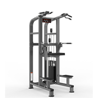 Machine de musculation commerciale Shandong Realleader pour la musculation, équipement de gym, machine à triceps assistée pour les clubs de fitness