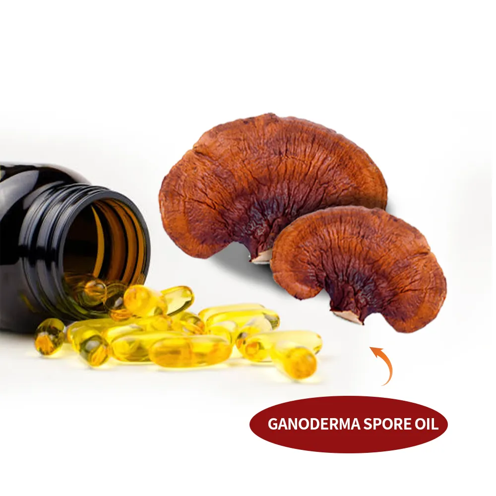 100% Bio Pure JUNCAO Reishi Sporenöl Kunden spezifischer Extrakt Kräuter kapseln