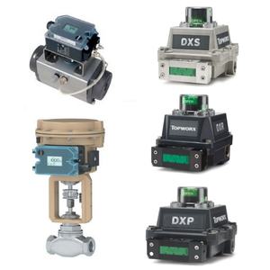 Válvula Reductora de Presión Samson 3522 (Clase 150/300) Actuador 3271/3277 Posicionador 3725 TopWorx DXP Interruptor de Límite Asco 223 - Product Image 2