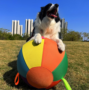 Pelota de Juguete para Perros Grandes y <span class=keywords><strong>Border</strong></span> Collies - Pelota de Entrenamiento Autoentretenedora, Juguete Interactivo para Perros - Product Image 2
