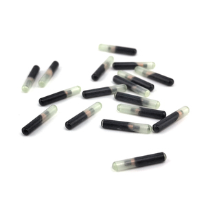 FDX-B EM4305 Cho Chó 2.12*12Mm 134.2Khz Chip Micro Pet Chip <span class=keywords><strong>RFID</strong></span> Ống ThủY Tinh Transponder <span class=keywords><strong>Tag</strong></span> Để Nhận Dạng Động Vật - Product Image 1