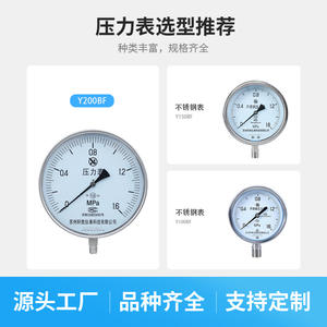 Manómetro de Acero Inoxidable Suzhou Xuansheng Y200 de 250 mm, Precisión 1.6, Conexión Roscada para Calderas de Vapor - Product Image 2