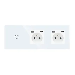 1/2/3 gang 1 Way Wall Switches Dual Triple Power Sockets EU Standard French 16A Wall Socket with DC 5V 2.1A Type-c USB Ports