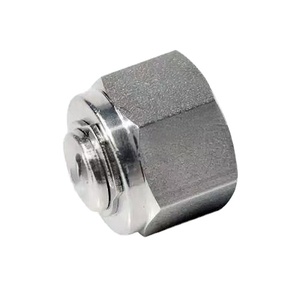 Connexion de <span class=keywords><strong>Tube</strong></span> d'usine Wenzhou 1/16 "304 316 raccords de <span class=keywords><strong>Tube</strong></span> de Compression 316L bouchon de virole en acier inoxydable avec extrémités filetées - Product Image 1