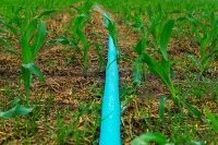 Tuyau d'irrigation micro-pulvérisateur en PE tissé stabilisé aux UV pour l'agriculture tropicale, le jardinage et l'irrigation des déserts