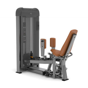 Anyfit PS06 Macchina per Esercizi Commerciale in Acciaio, Sedia Romana per Estensione Schiena con Pila di Pesi da 66kg in Vendita - Product Image 4