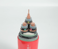 Câble d'alimentation en cuivre blindé Cu/XLPE/SWA/LSZH 0,6/1 kV 3 conducteurs, conducteur sans oxygène, blindage métallique, semi-conducteur, IP65, 500 m