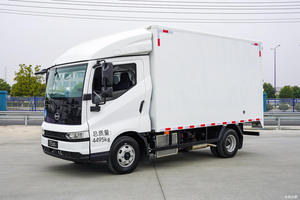 Fourgonnette de livraison urbaine électrique BYD T5 EV 4,2 m avec batterie Pure Blade - Product Image 5