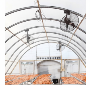 Película Eficiente para Invernadero para el Secado de Productos Agrícolas que Ofrece Excelente Transmisión de Luz y Calor y Resistencia a los Rayos UV 2025 - Product Image 1