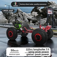 Quad tout-terrain à moteur essence 225cc, roues de 7, 8 et 10 pouces, kart de loisirs tout-terrain, vitesse maximale de 50 km/h