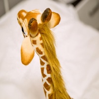 Grande peluche personnalisée girafe vente en gros jouets animaux sauvages grande taille réaliste simulation girafe peluche pour garçons jouets