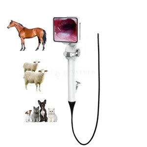 Medical equipment reusable flexible video laryngoscope set endoscope with hd screen flexible bronchoscope for pet