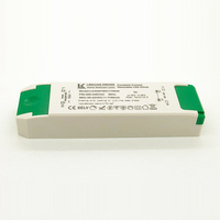 Driver LED encastré dimmable TUV SAA Triac 120v AC 9w 40w 60w 300ma 3v 42v 65v DC Triac Dimming Courant constant