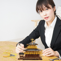 Piececool HP257-GR Golden Pavilion, Puzzle 3D in Metallo, Kit Modello Architettonico, Edificio Storico, Regalo per Adulti