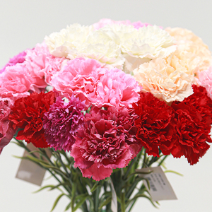 Flor artificial de clavel de seda realista <span class=keywords><strong>con</strong></span> toque realista para decoración del hogar, jarrón para exhibir en la sala de estar como regalo - Product Image 1