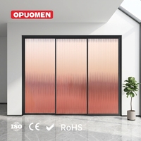 Porte coulissante occultante en alliage d'aluminium et verre, design moderne, écologique, pour cuisine, chambre, salle de bain, sans perçage