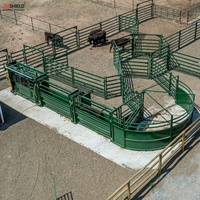 Corral de manutention de bétail incurvé avec portillon de balayage pour une manipulation du bétail à faible stress