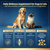 Camilan Kucing Immunoglobulin Grosir untuk Dukungan Imunitas, Cairan IgG IgY Lactoferrin, Suplemen Nutrisi OEM