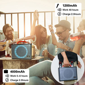 Machine with Two Wireless <b>Microphones</b> Portable BT Speaker LED Lights Supports TF Card/USB <b>for</b> Party - Product Image 5