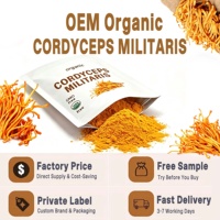 Poudre d'extrait de Cordyceps Militaris personnalisée OEM sous marque privée – Extrait naturel de Cordyceps en poudre de champignon
