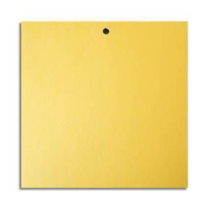 กระดาษพิมพ์ลายสำหรับ<span class=keywords><strong>ทำ</strong></span>สมุดภาพ ขนาด 12*12 นิ้ว  กระดาษ<span class=keywords><strong>พื้น</strong></span><span class=keywords><strong>หลัง</strong></span>สี  กระดาษโอริกามิ  ชุดกระดาษงานฝีมือสำหรับทำสมุดภาพ - Product Image 4