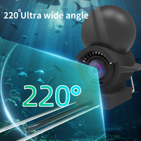 Dearsee Fish Finder Caméra avec Vision Nocturne Moniteur de 4.3 Pouces Câble de 30m Caméra Sous-Marine Professionnelle pour la Pêche