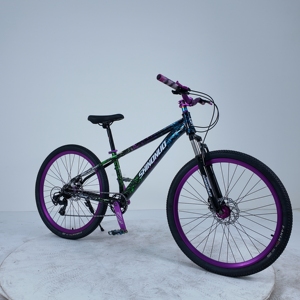 2026 Bestseller Mountainbike 26 Zoll Stahlfedergabel Doppelscheibenbremse 21-Gang Aluminiumlegierung Starrer Rahmen 26*2,5 Reifen - Product Image 4