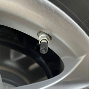 Tapas de Válvula de Neumático para Ralcon-OLIVER (OE 9094202049 9094202103) Compatible con / - Product Image 1