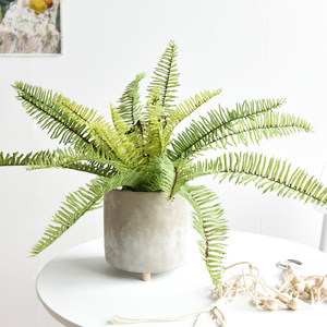 Planta Artificial de Hoja Persa Greenway, Decoración de Helecho, Planta en Maceta para Interiores, Adorno para Sala de Estar, Bonsái Pequeño - Product Image 5