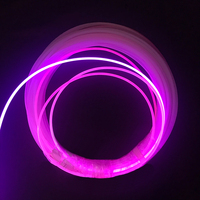 Fibre optique LED à émission latérale décorative de 2 mm, 3 mm, 4 mm, 6 mm, 10 mm, 14 mm, en plastique, IP65, éclairage à fibre optique à émission latérale