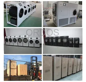 Mini máquina liofilizadora de uso doméstico, capacidad de 4-13 libras con 3 o 4 bandejas para Carambar Ginseng, equipo de servicio de productos de azúcar - Product Image 6