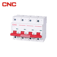 Mini Interruptor de Circuito Solar CNC Eléctrico DC 2P 500V 32A MCB para Sistema de Distribución de Energía Fotovoltaica DC