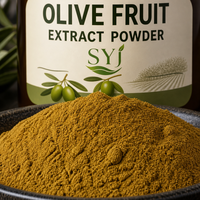 Poudre d'extrait de feuille d'olivier - Oléuropéine 10%-80% naturelle Olea Europaea pour l'utilisation alimentaire et en boisson