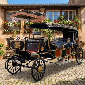Carrosse de tourisme élégant et rétro, carrosse de Cendrillon, carrosse électrique de palais, carrosse royal historique pour mariage - Product Image 1