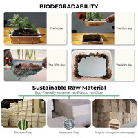Plateau d'emballage en pulpe de bagasse de canne à sucre moulé sur mesure, écologique et biodégradable, pour dilatateur nasal avec impression en relief