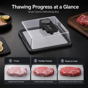 Caja inteligente para descongelar <span class=keywords><strong>carne</strong></span> viral de TikTok: descongela filetes congelados en 10 minutos, descongelador de <span class=keywords><strong>carne</strong></span> recargable por USB con pantalla LED <span class=keywords><strong>y</strong></span> temporizador - Product Image 2
