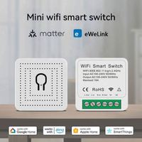 Matière sur WiFi Smart Light Switch DIY Disjoncteur Module Homekit SmartThings Télécommande 2 Voies 16A